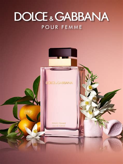 eau de parfum dolce gabbana femme|dolce gabbana pour femme fragrantica.